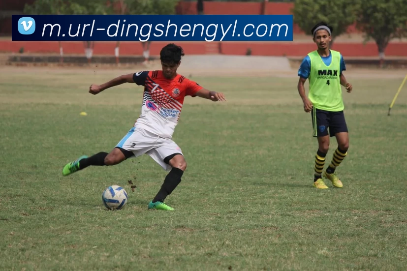 盛世娱乐服务体系